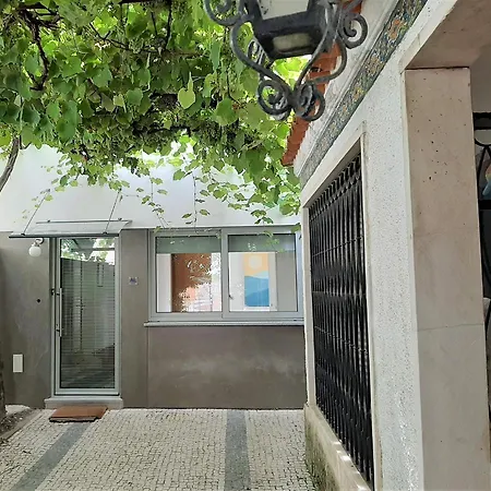 Casa Camélias Garden *