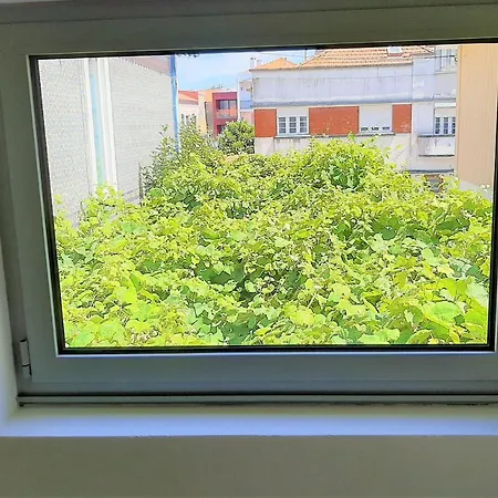 Casa Camélias Garden