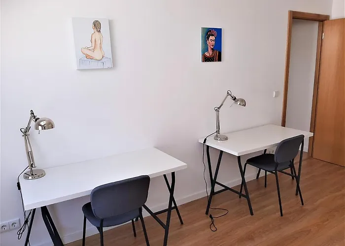 Casa Camélias Garden Aveiro