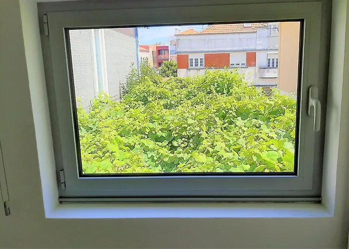 Casa Camélias Garden